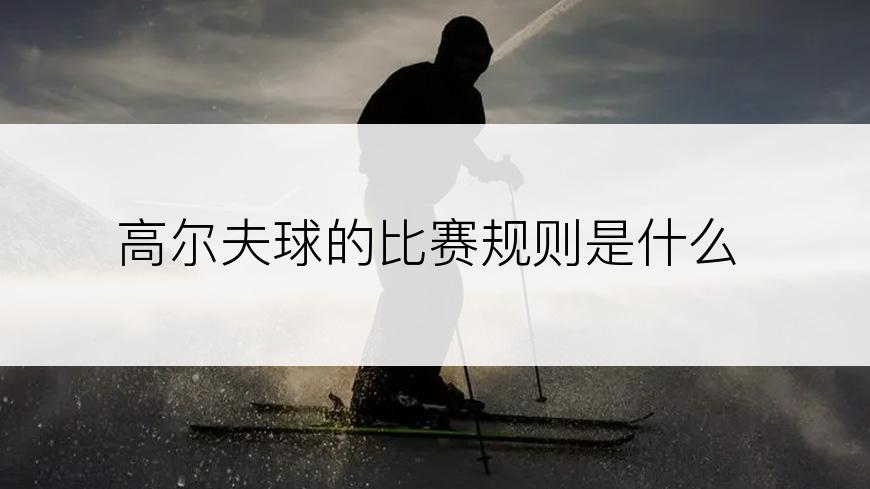 高尔夫球的比赛规则是什么