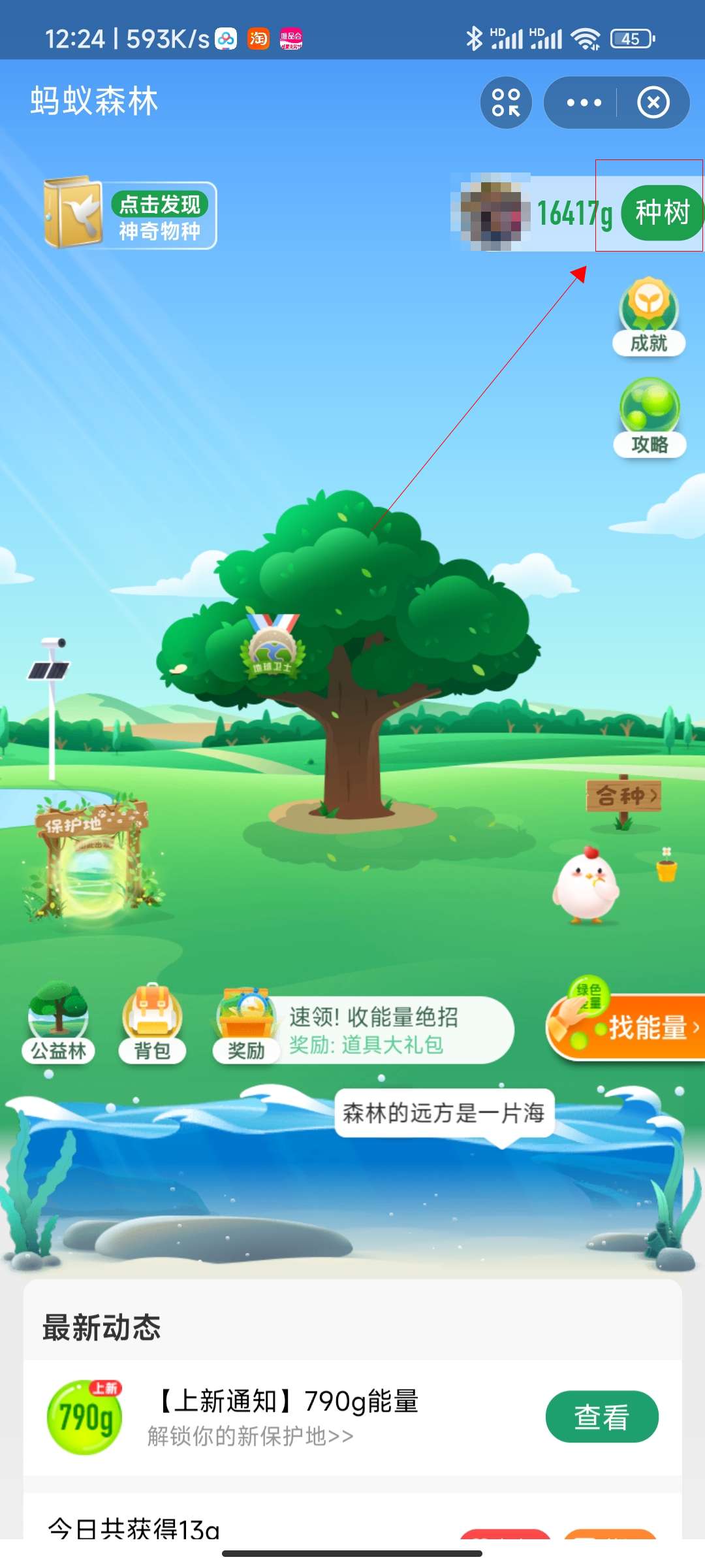 支付宝保护地怎么弄