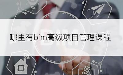 哪里有bim高级项目管理课程