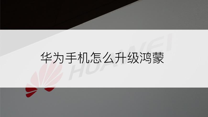 华为手机怎么升级鸿蒙