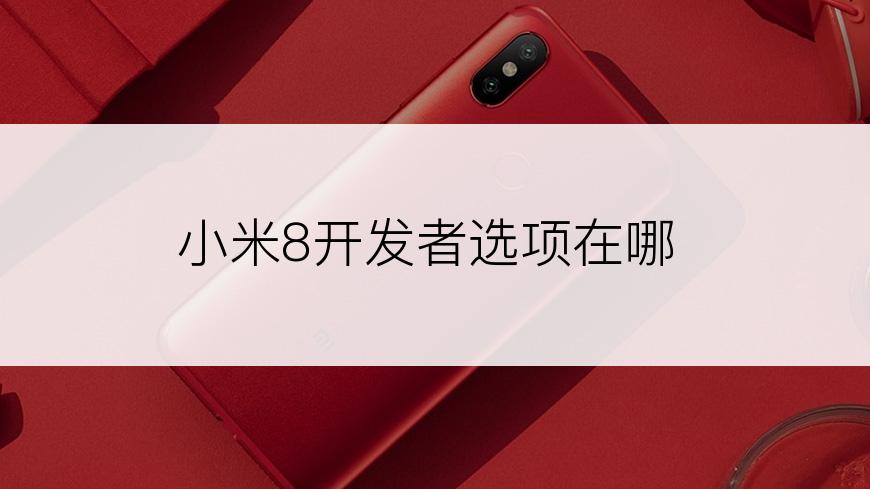 小米8开发者选项在哪