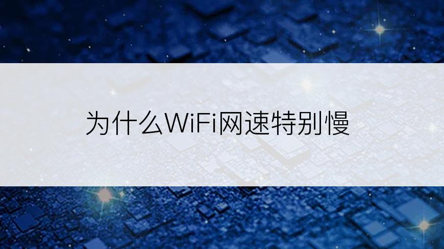 为什么WiFi网速特别慢