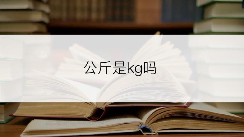 公斤是kg吗