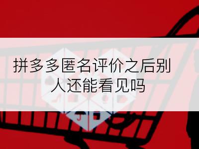 拼多多匿名评价之后别人还能看见吗