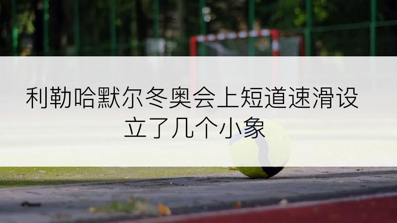 利勒哈默尔冬奥会上短道速滑设立了几个小象