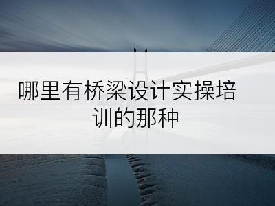 哪里有桥梁设计实操培训的那种