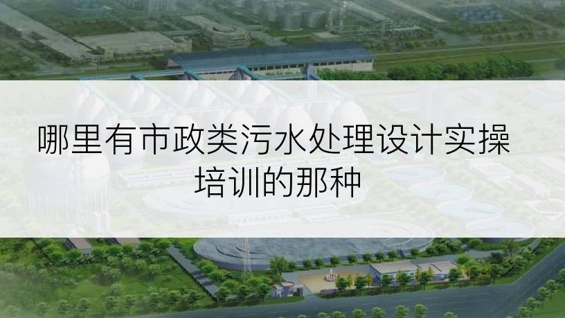哪里有市政类污水处理设计实操培训的那种