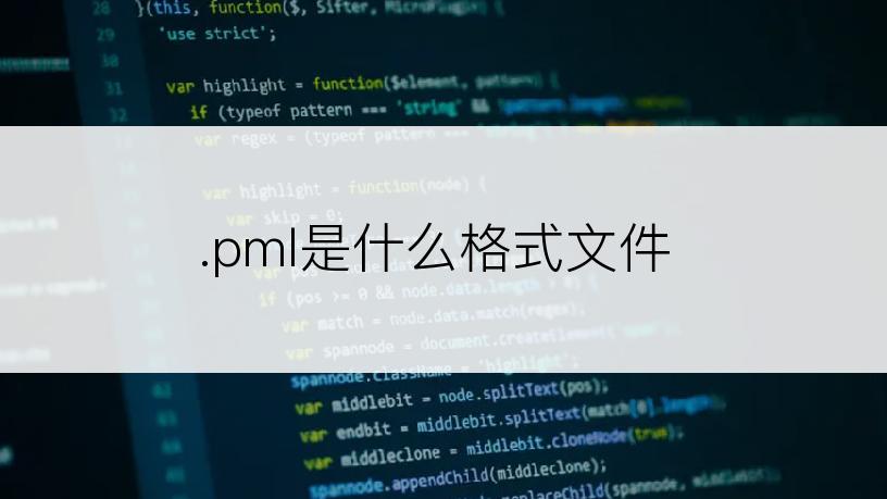 .pml是什么格式文件