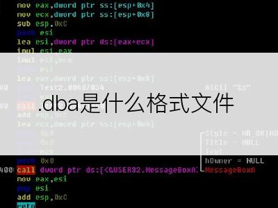 .dba是什么格式文件