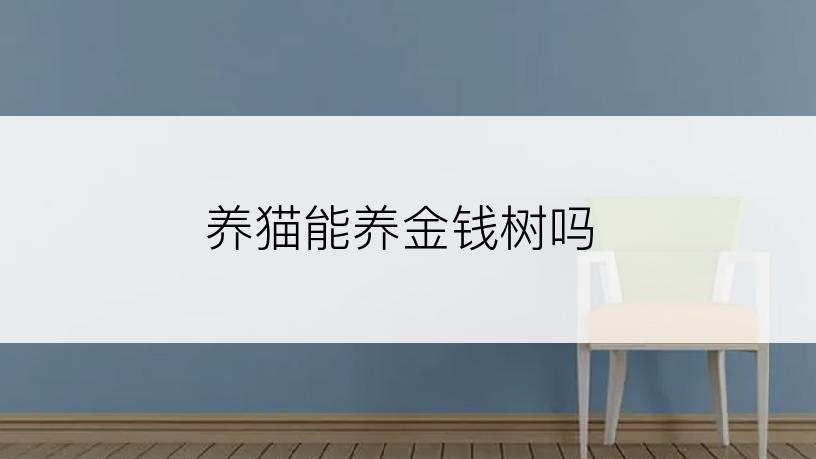 养猫能养金钱树吗