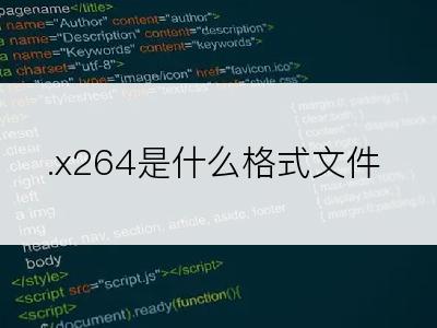 .x264是什么格式文件