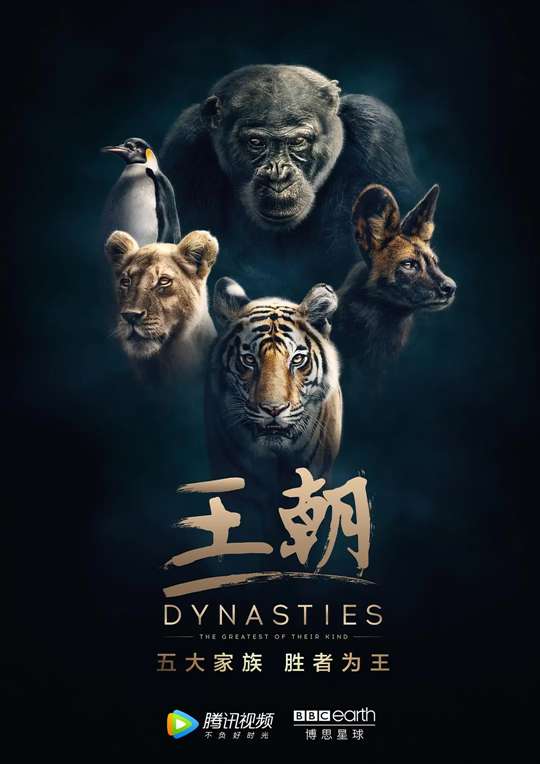 《王朝》讲的什么剧情