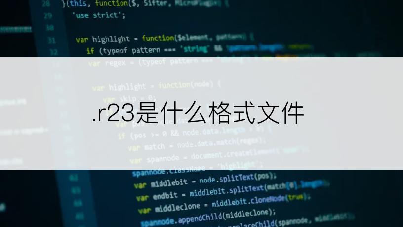 .r23是什么格式文件