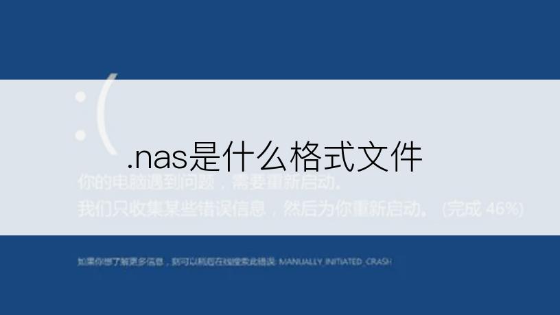 .nas是什么格式文件