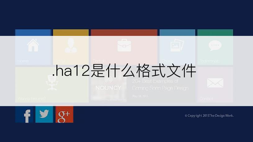 .ha12是什么格式文件