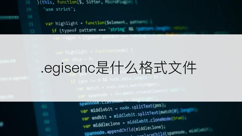 .egisenc是什么格式文件