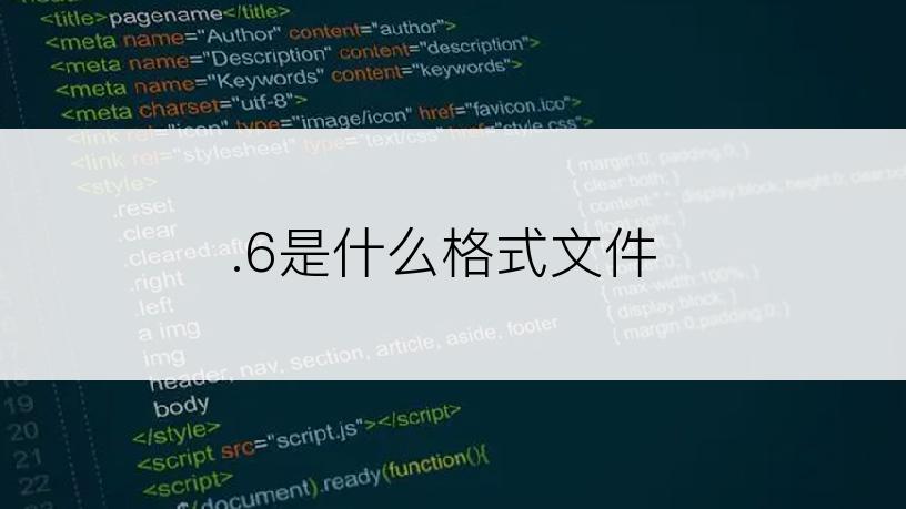 .6是什么格式文件