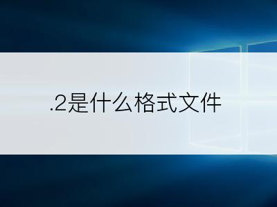 .2是什么格式文件