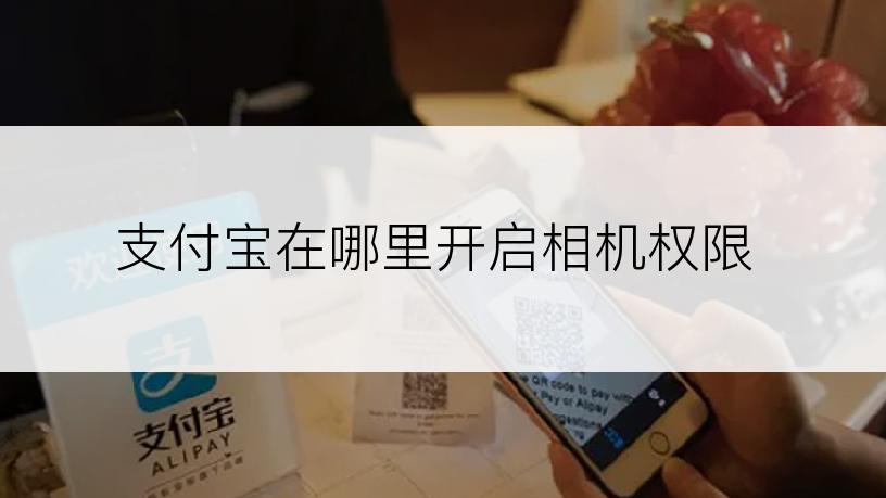 支付宝在哪里开启相机权限
