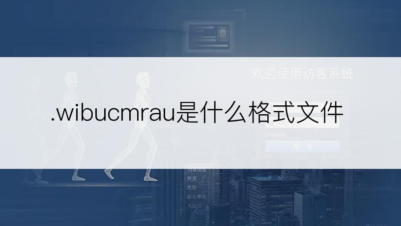 .wibucmrau是什么格式文件