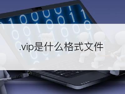 .vip是什么格式文件