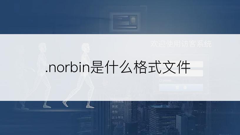 .norbin是什么格式文件