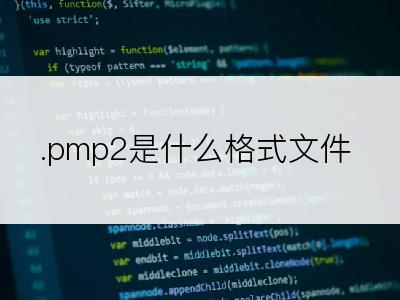 .pmp2是什么格式文件