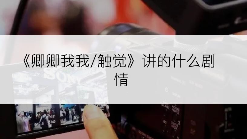 《卿卿我我/触觉》讲的什么剧情