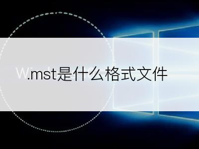 .mst是什么格式文件