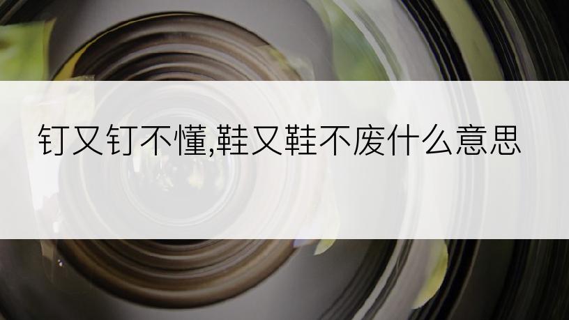 钉又钉不懂,鞋又鞋不废什么意思