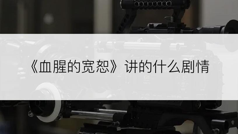 《血腥的宽恕》讲的什么剧情