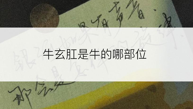 牛玄肛是牛的哪部位