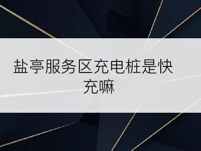 盐亭服务区充电桩是快充嘛