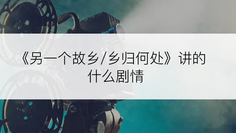 《另一个故乡/乡归何处》讲的什么剧情