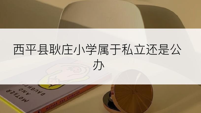 西平县耿庄小学属于私立还是公办