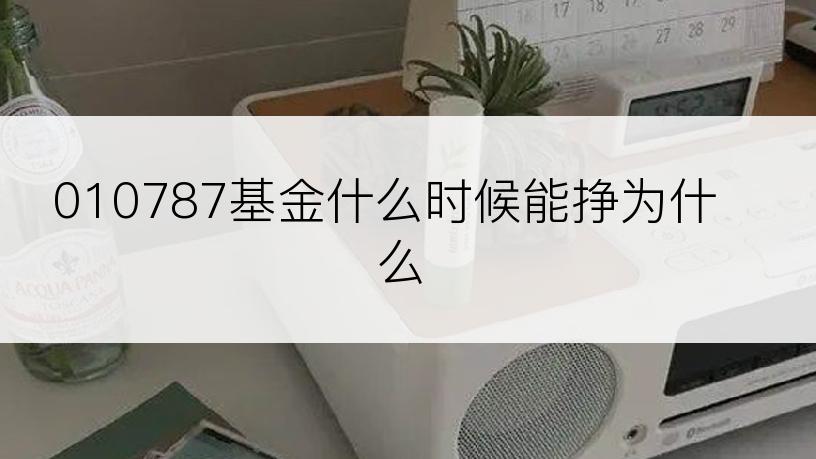 010787基金什么时候能挣为什么