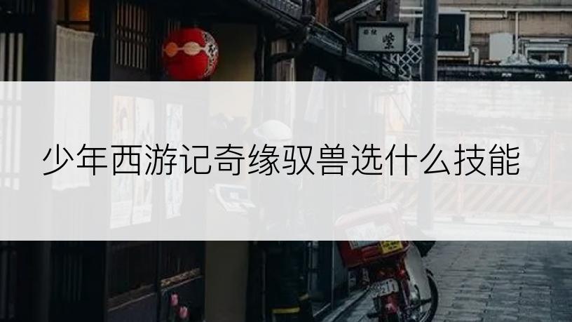 少年西游记奇缘驭兽选什么技能