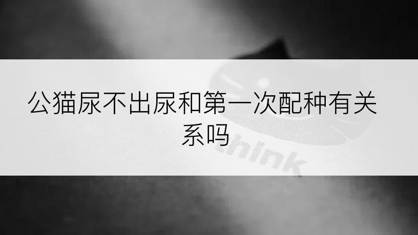 公猫尿不出尿和第一次配种有关系吗