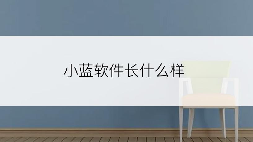 小蓝软件长什么样