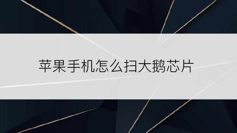 苹果手机怎么扫大鹅芯片