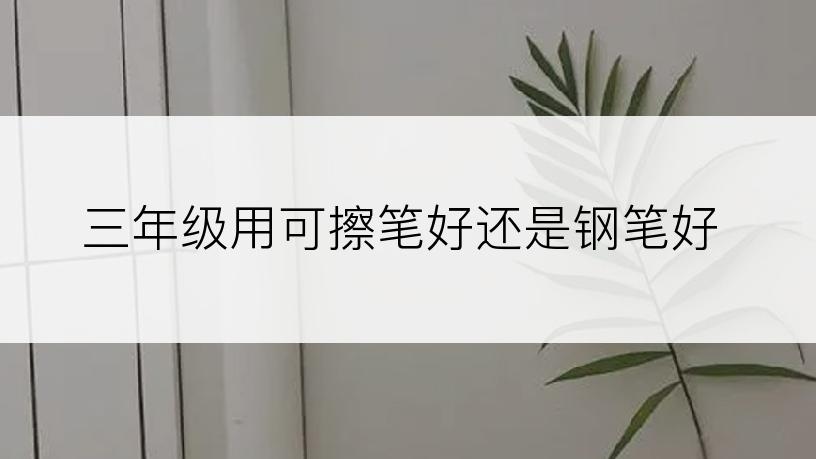 三年级用可擦笔好还是钢笔好