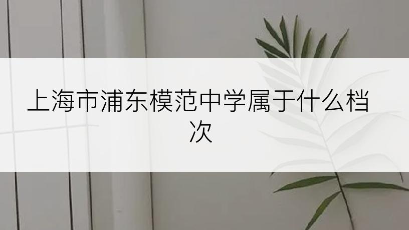 上海市浦东模范中学属于什么档次