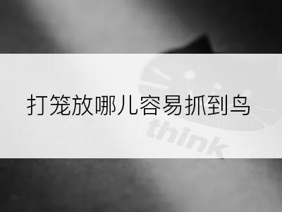 打笼放哪儿容易抓到鸟