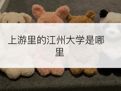 上游里的江州大学是哪里