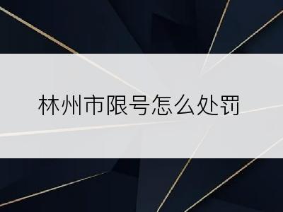林州市限号怎么处罚