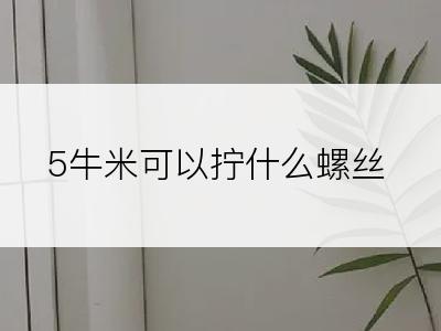 5牛米可以拧什么螺丝