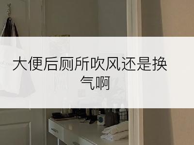 大便后厕所吹风还是换气啊