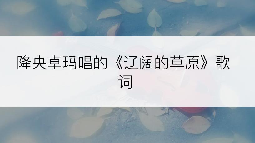 降央卓玛唱的《辽阔的草原》歌词