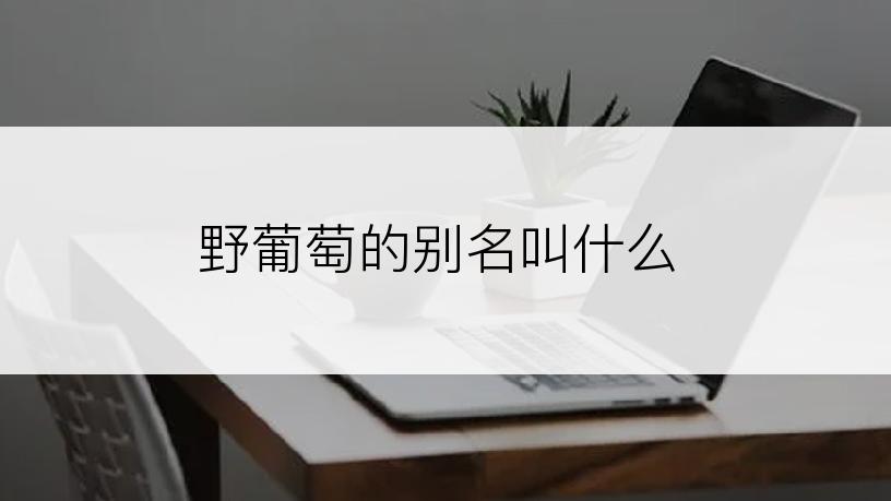 野葡萄的别名叫什么