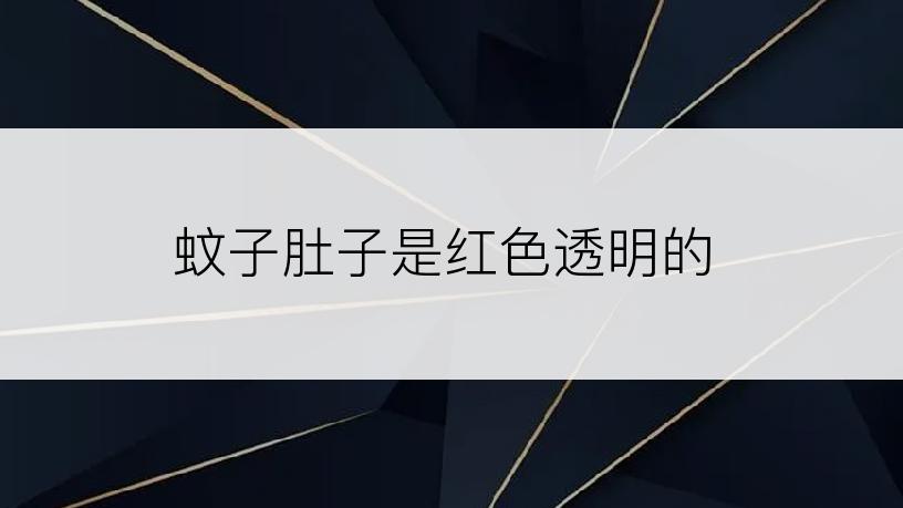 蚊子肚子是红色透明的